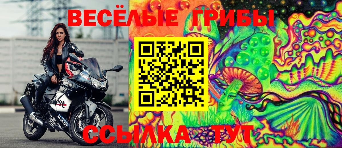 купить закладку  Вход с VPN  Зеленодольск  Псилоцибиновые грибы прущие грибы 