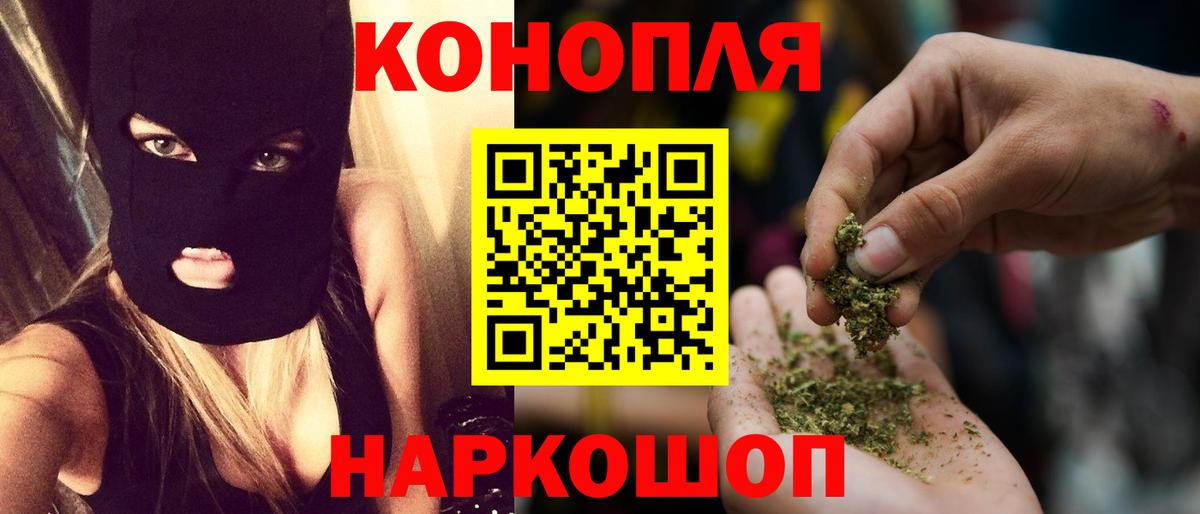 Бошки Шишки план Зеленодольск